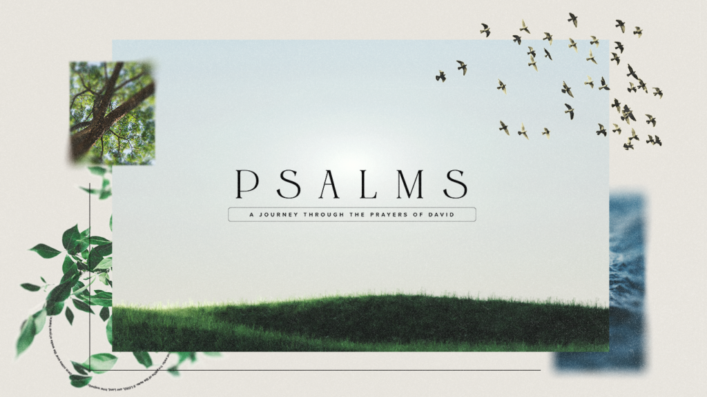 Psalms: A Journey Through the Prayers of David